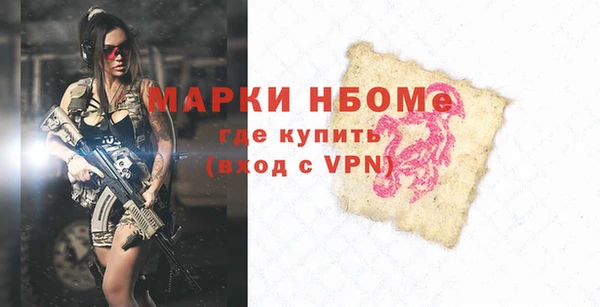 дмт Бородино
