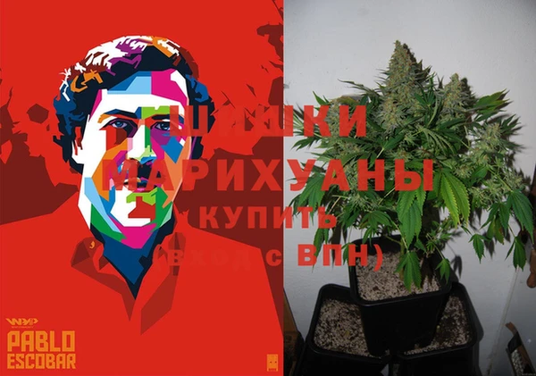 марки nbome Богданович