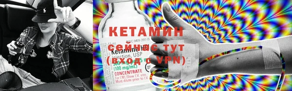 дмт Бородино