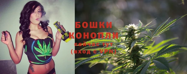 дмт Бородино