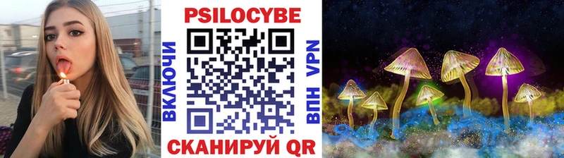 Галлюциногенные грибы Cubensis  купить наркоту  Гурьевск 